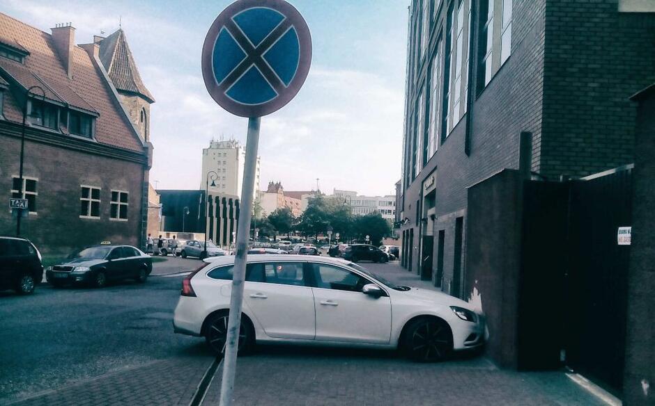 mistrz_parkowania