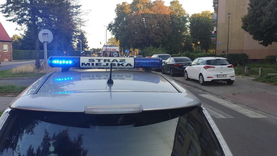 radiowóz straży miejskiej ambulans policjanci z Wydziału Ruchu Drogowego zaparkowane samochody ulica domy chodnik trawnik drzewo