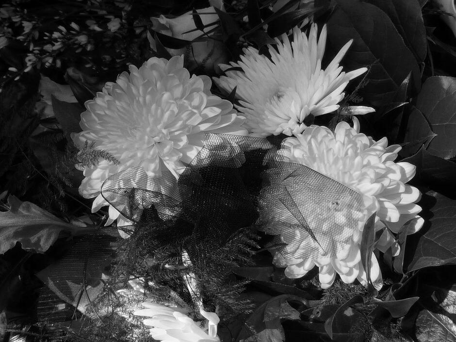 Kwiaty, nekrolog